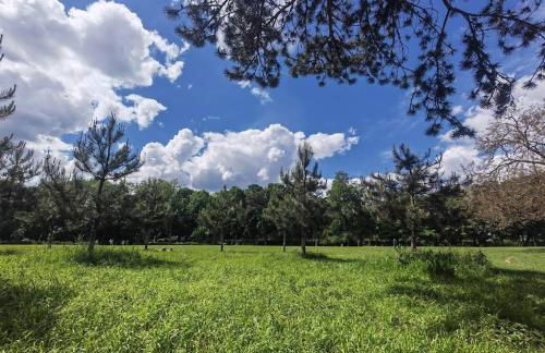 Studio a proximité de Paris et Orly - Foto 24