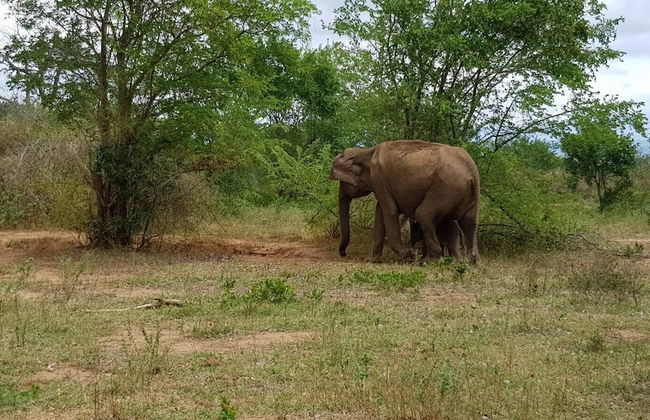 Residence Kuruniyavilla - Photo 71