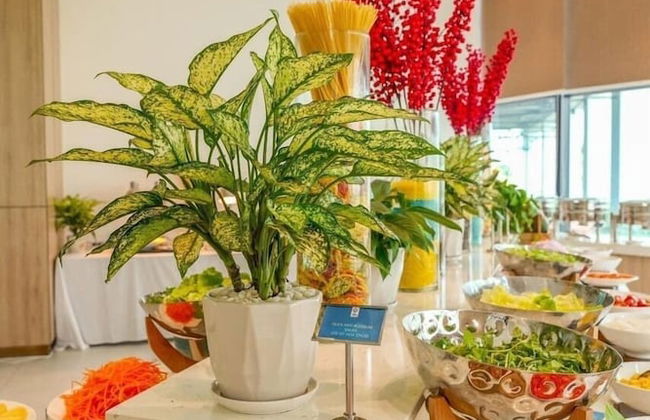 The Sea View Cam Ranh - Foto 22