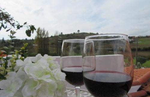 Quintal do Freixo - Country House - Photo 15