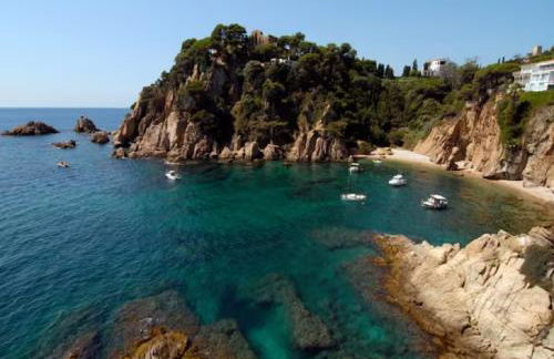 Apto. Jardín de Santa Bárbara - Photo 12