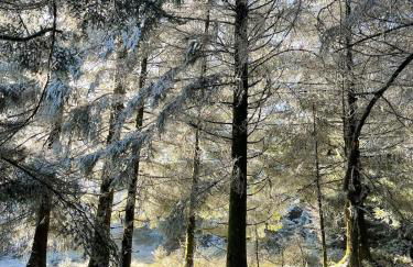 Le Relais du Piémont Ottrott - Mont Sainte-Odile- Champs du feu - Photo 36