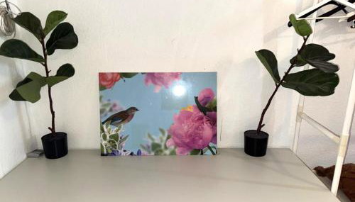 Urban Nest Prime 3BR with Spacious Hall & Kitchen apartment - Foto 5