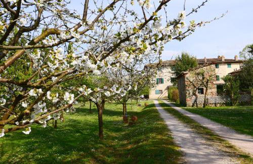 Agriturismo Il Trebbio - Photo 33