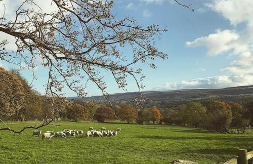 1800 Period Grade 2 Listed Cottage Addingham - Photo 33