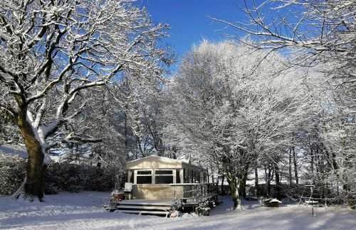 Doughery Den The Dark Hedges Hideaway - Foto 49