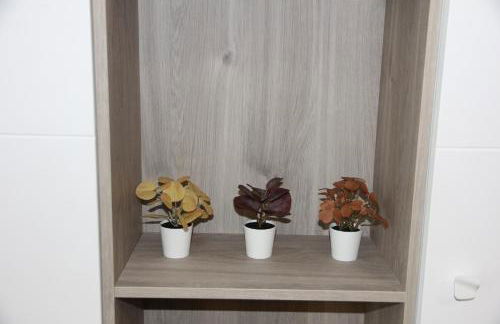 Ruzafa Tropical - Photo 15