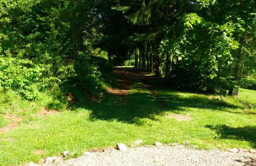 CHALET DES CHEVREUILS -les chalets de Montsermage - Foto 1