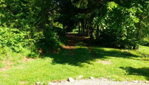CHALET DES CHEVREUILS -les chalets de Montsermage - Foto 1, Garden, Garden view