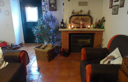 Casa da Palmeira - Foto 42