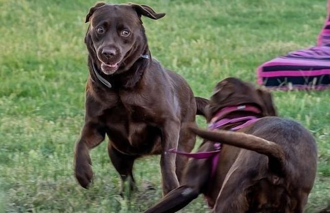 Terra Lodge - Photo 44