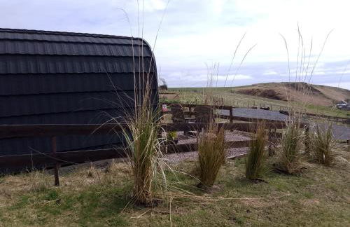 Faodail 'a lucky find' - Foto 7