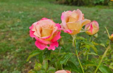 Les Cocons d AleXan Le studio balnéo aromathérapie - Foto 31