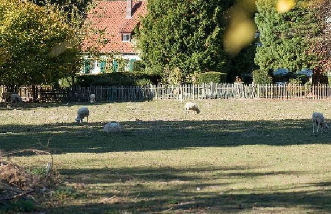 Holiday Apartment Kutscherstube - Foto 14