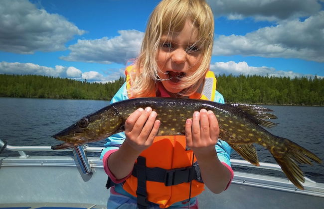 Vildmarks Lodge - Photo 21