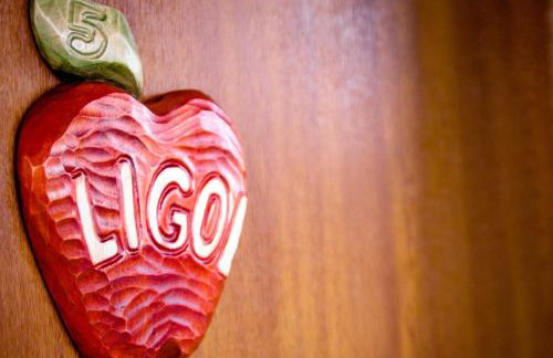 Agroturystyka Pod Jabłonią - Photo 19