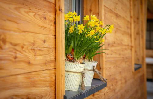 Schwarzwald Chalet -Wilde Rench- - Foto 75