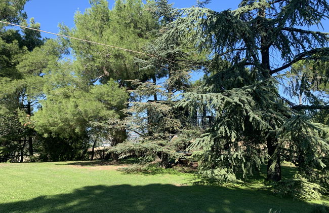 Maria Rosaria - Foto 26