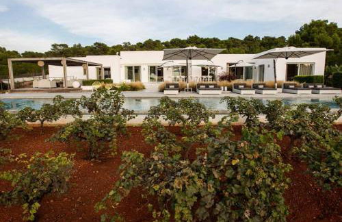 Charming Oasis in San Jose, 1069 - Foto 36