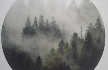 Ferienwohnung Greitemann - Foto 47