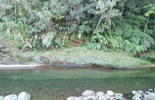 Tiny House Garden - Praia Grande - SC - Foto 61