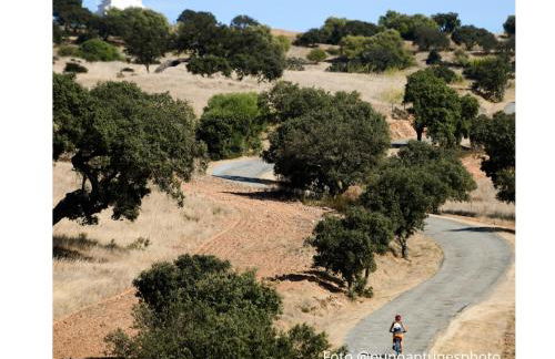 4Bs - Birds & Bicycles - Foto 29