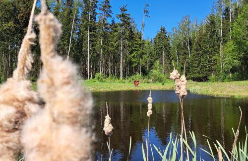Leśny Reset - Foto 55