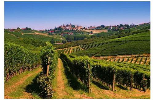 Maison Younesco - Villa indipendente exclusive - Foto 59