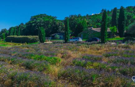 Bergerie de Lussan - Photo 13