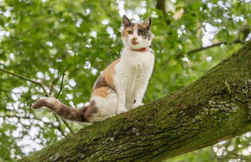 The Granary - Wood Farm Barn. Luxury Barn with wonderful countryside views - Foto 28