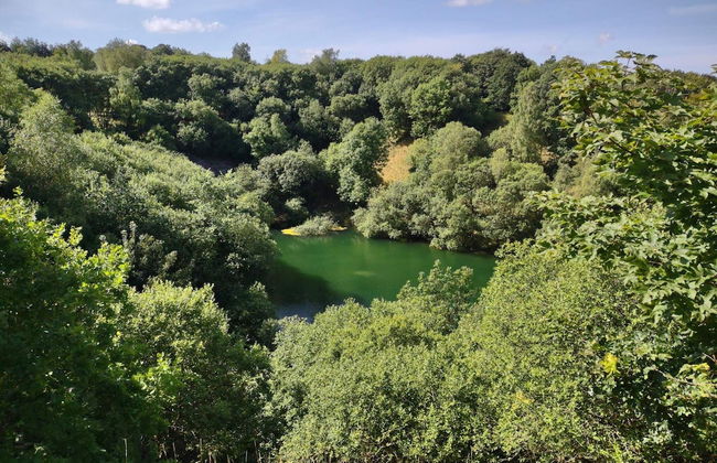 4 Person Holiday Home in Silkeborg-by Traum - Foto 7