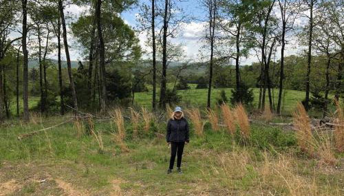 Caddo Cabin on Collier Creek - Foto 4