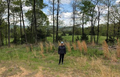 Caddo Cabin on Collier Creek - Foto 4