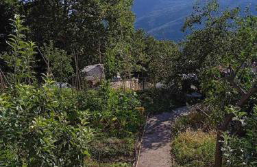 Maro's Guesthouse - Foto 32