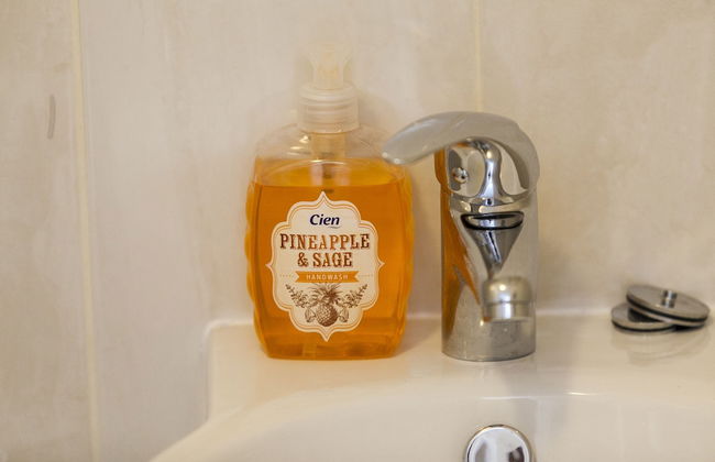 Dublin Vacation Rentals - Photo 57