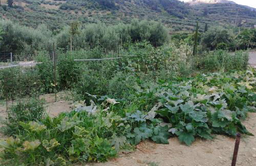 nafsikacottagehouse - Foto 57