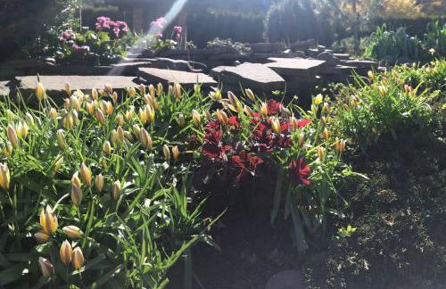 Ferienhaus am Mescheriner See - Photo 22