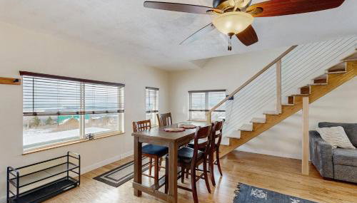 Little Black Bear - Photo 4