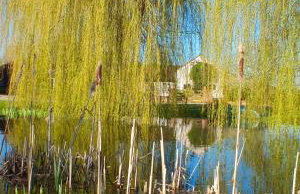 Primroses, Wood Farm - Foto 30