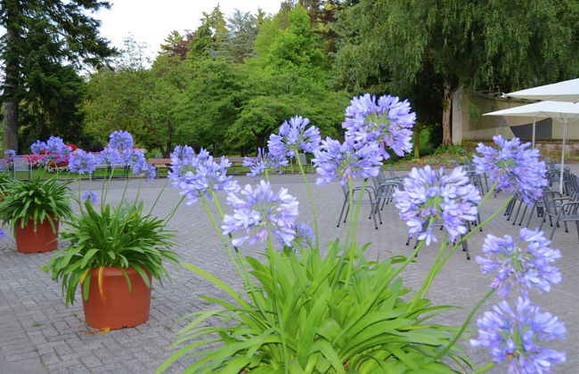 Geraumiges Ferienhaus im Kellerwal mit Terrasse - Foto 26