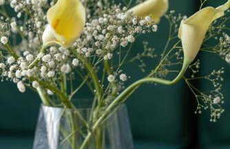 Sagaria - Easy - Rent Apartments - z basenem - Foto 25