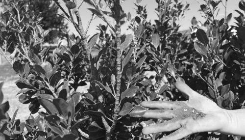 Agriturismo Molle - Foto 2