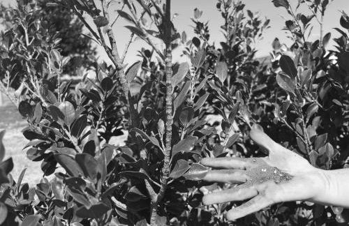 Agriturismo Molle - Foto 2