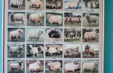 Southeast Portland Comfy & Eclectic Craftsman Home - Foto 53