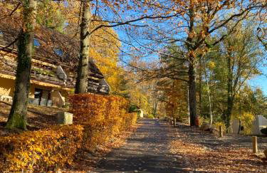 Gîte au nid de l’écureuil - Foto 22
