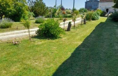 Gîte en Touraine: Campagne, 3 Chambres, Près de Chenonceau - FR-1-381-121 - Photo 32