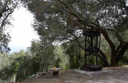 Apagio Othonoi Car Included - Foto 51