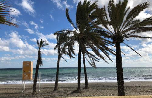 Duquesa Village (La Casa del Loonos) - Photo 47