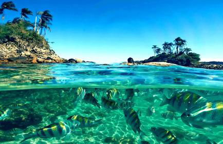 Casa Waimea - Linda casa com praia particular - Foto 75