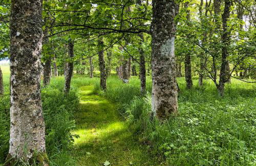 The Gate Lodge - Foto 15